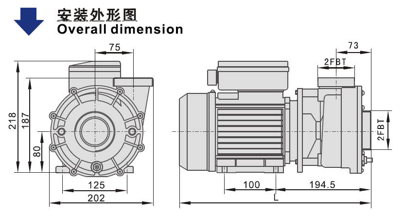 LP SPA Pump