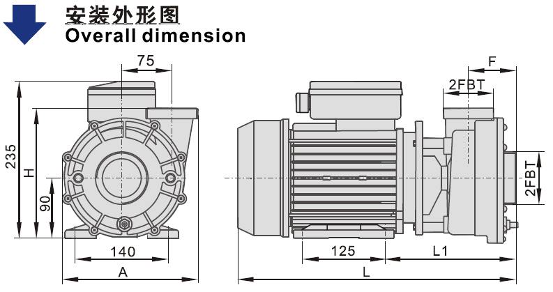 WP SPA Pump