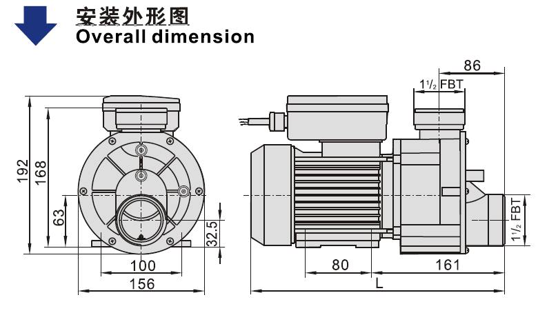 WM Bathtub Pump