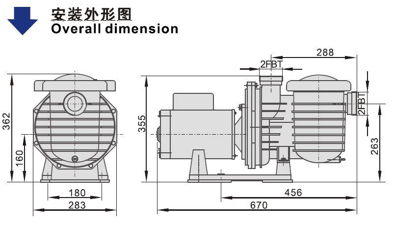 SCP Swimming Pump